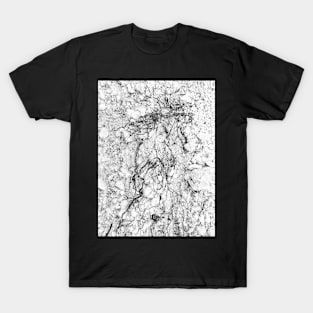 BRANCHED ROOTS 1 - Subterranean Conversation Exposed T-Shirt